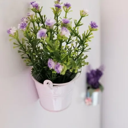 公寓 With Balcony In The Square