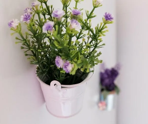 아파트 With Balcony In The Square